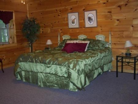 Mountain Shadows Resort 개틀린버그 객실 사진